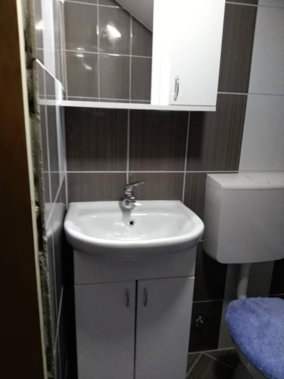 Apartment Jankovic Zlatibor Dış mekan fotoğraf